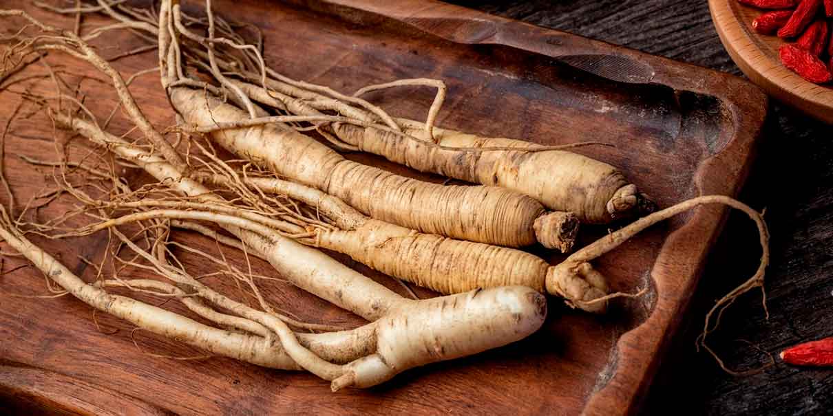 Panax ginseng