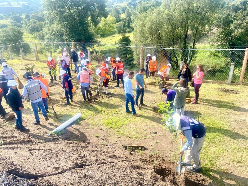 Puebla transforma desechos orgánicos en composta y fortalece la reforestación urbana