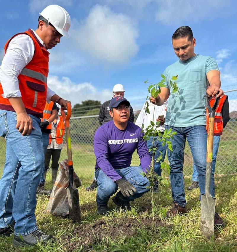 Puebla transforma desechos orgánicos en composta y fortalece la reforestación urbana