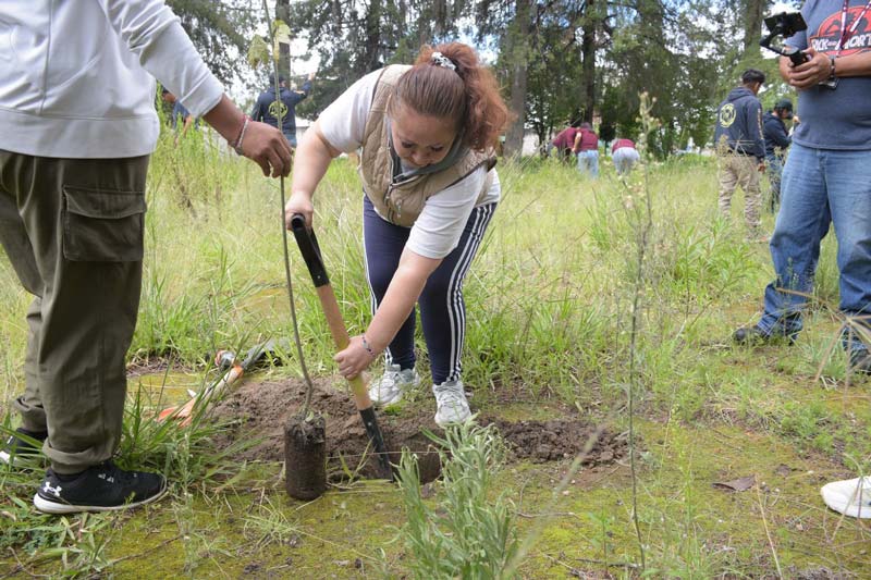 Reforestación en Puebla: programa “Raíces del Futuro” fortalece medio ambiente