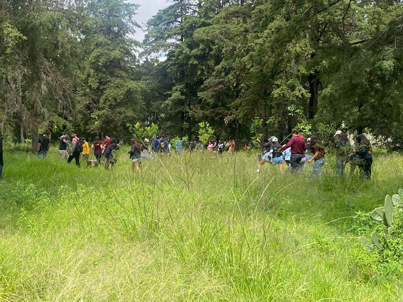 Reforestación en Puebla: programa “Raíces del Futuro” fortalece medio ambiente