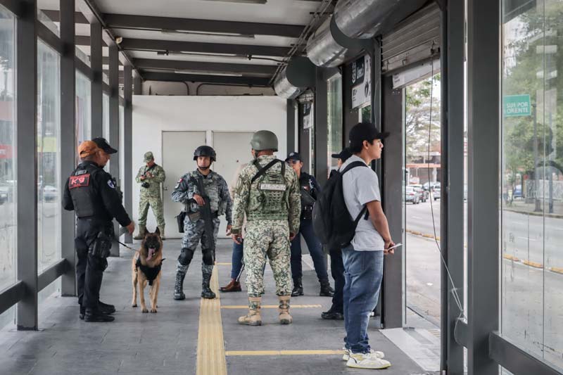 Seguridad en RUTA: Comando Canino K9 detecta armas y drogas en operativo Transporte Seguro