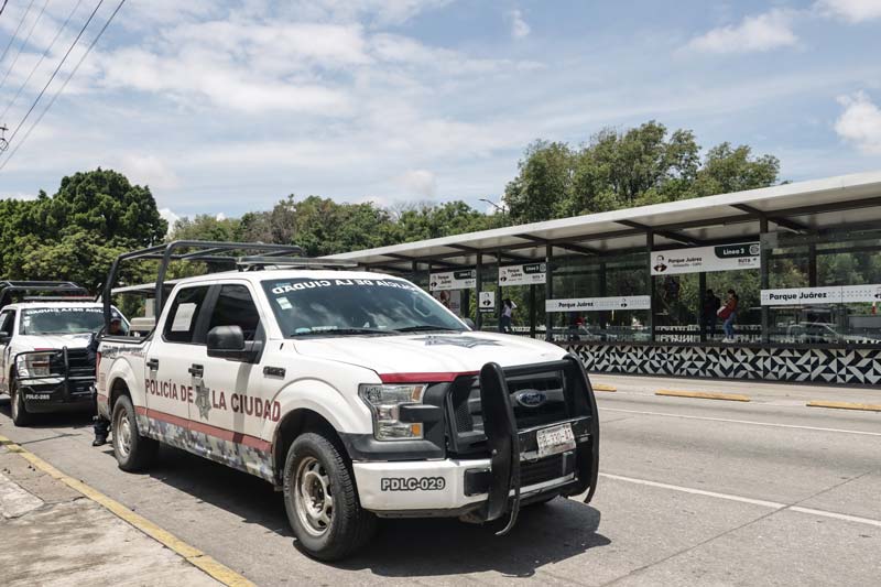 Seguridad en RUTA: Comando Canino K9 detecta armas y drogas en operativo Transporte Seguro