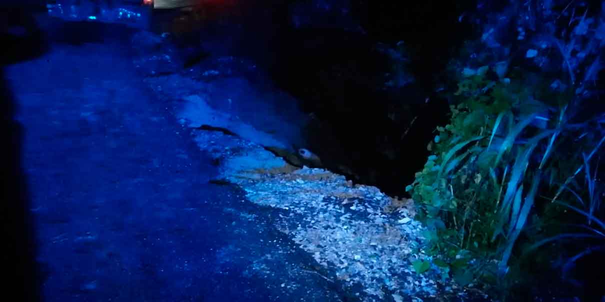 Vive de milagro, conductor cayó con camioneta a una barranca