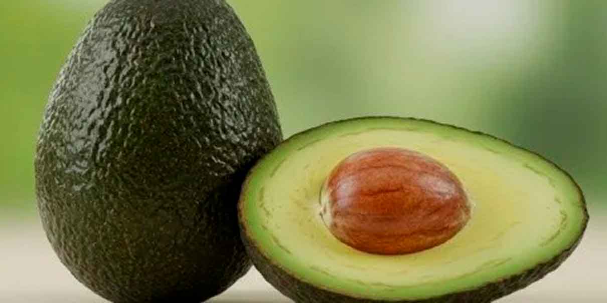 Alimentación balanceada
