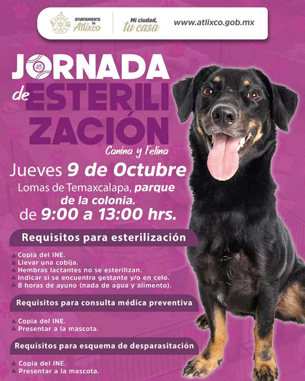Atlixco