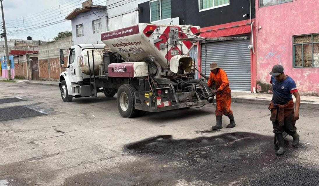 Bacheo