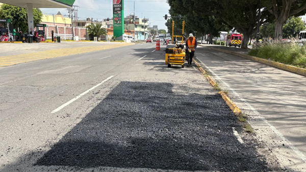 Bacheo