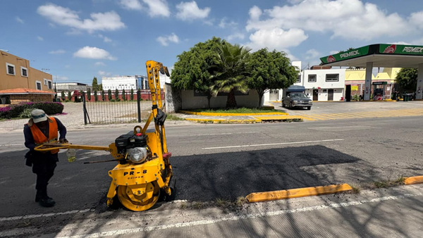 Bacheo