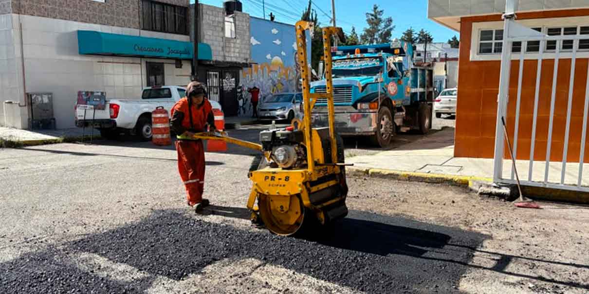 Bacheo
