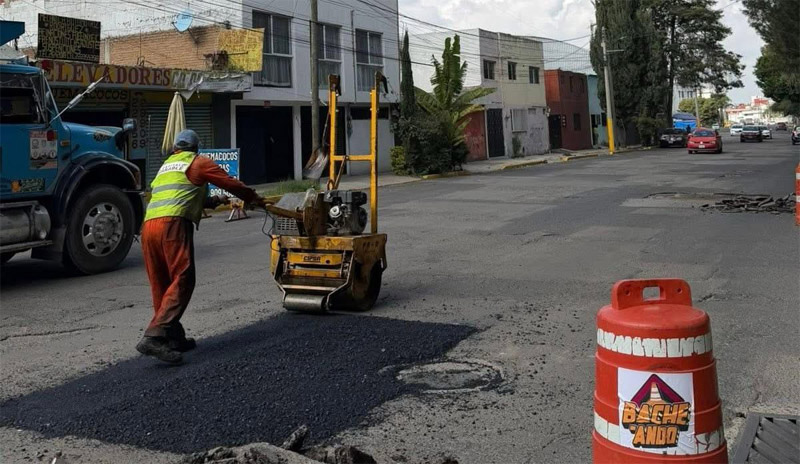 Bacheo