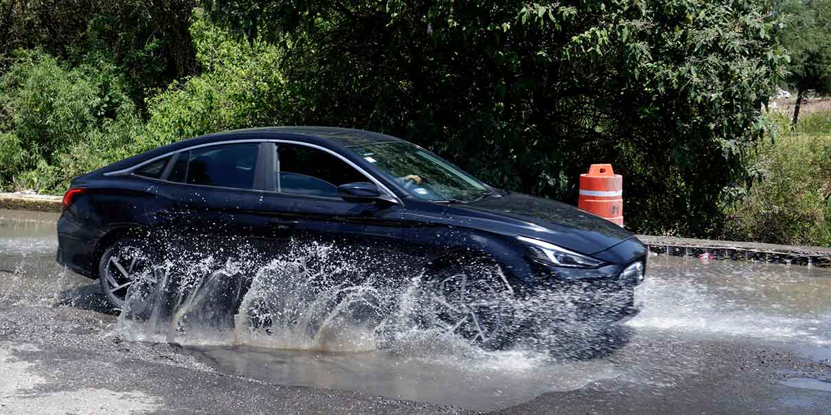 Baches