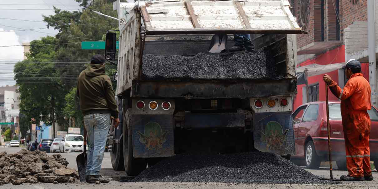 Baches