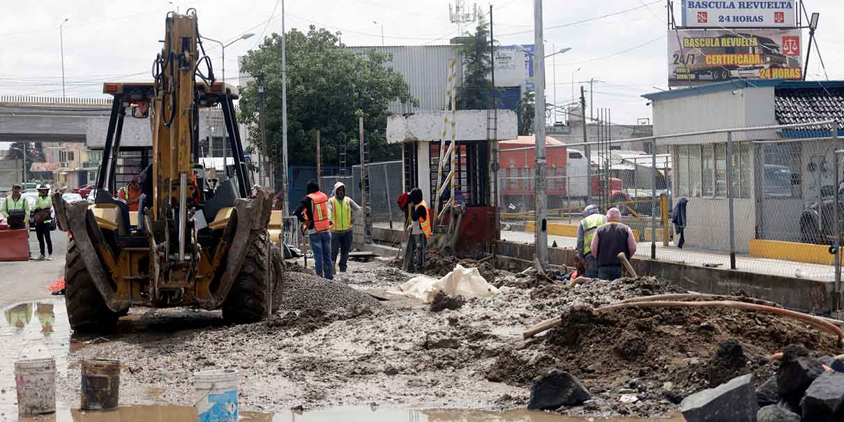 Bodegueros de la Central de Abasto