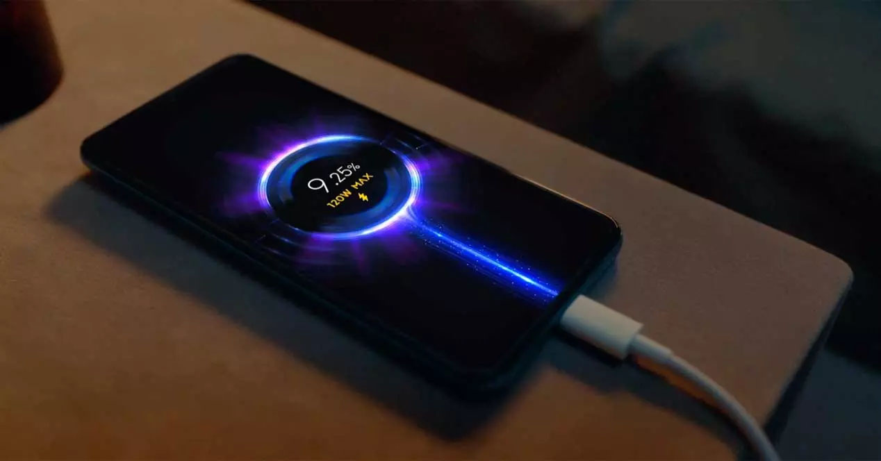 celular