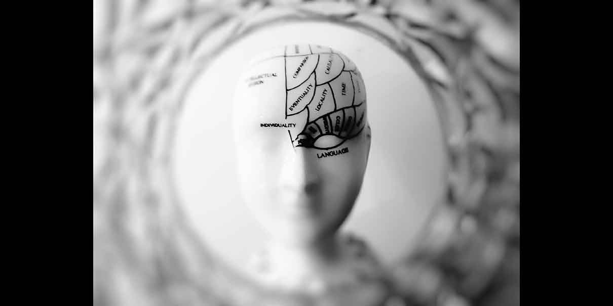 cerebro de mujeres
