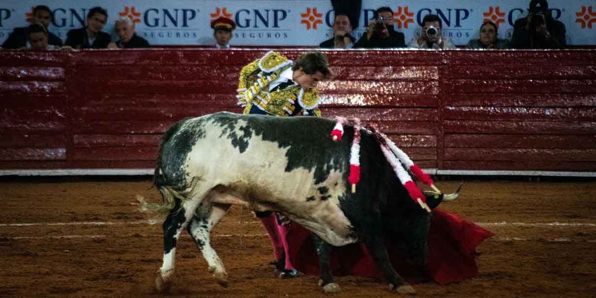 maltrato animal