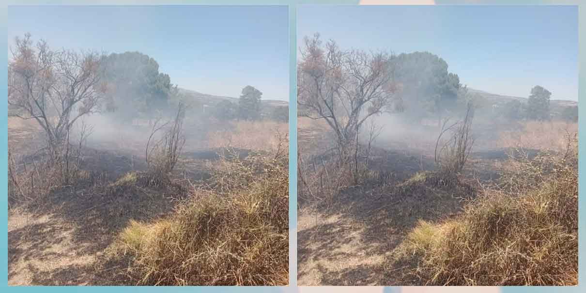 incendios forestales