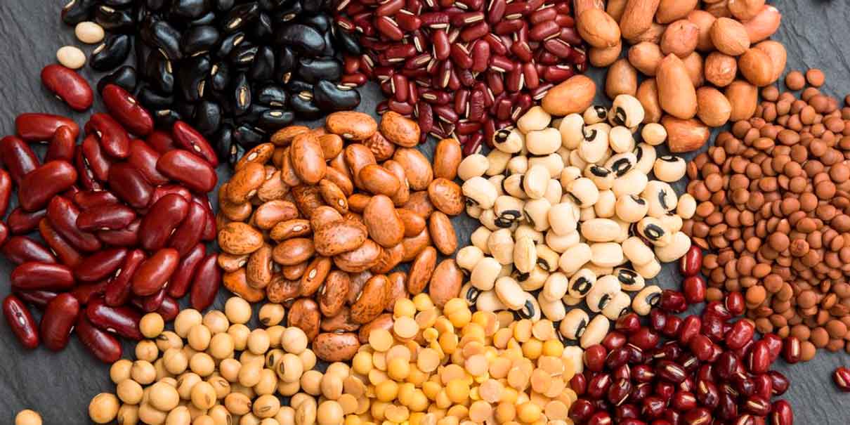 Alimentación balanceada