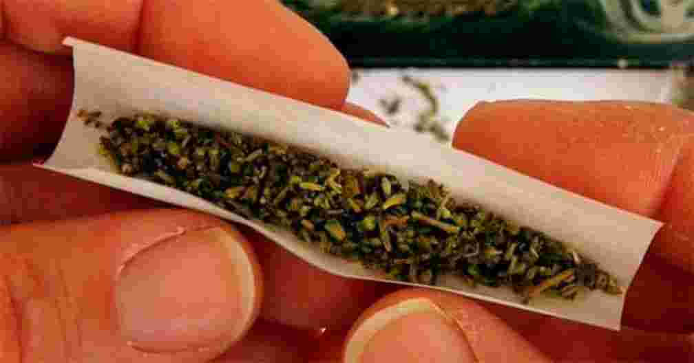 Mariguana