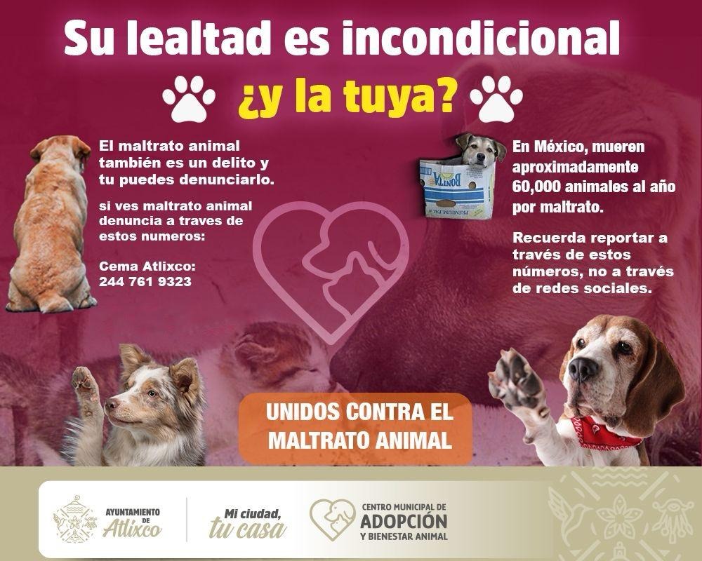 Atlixco