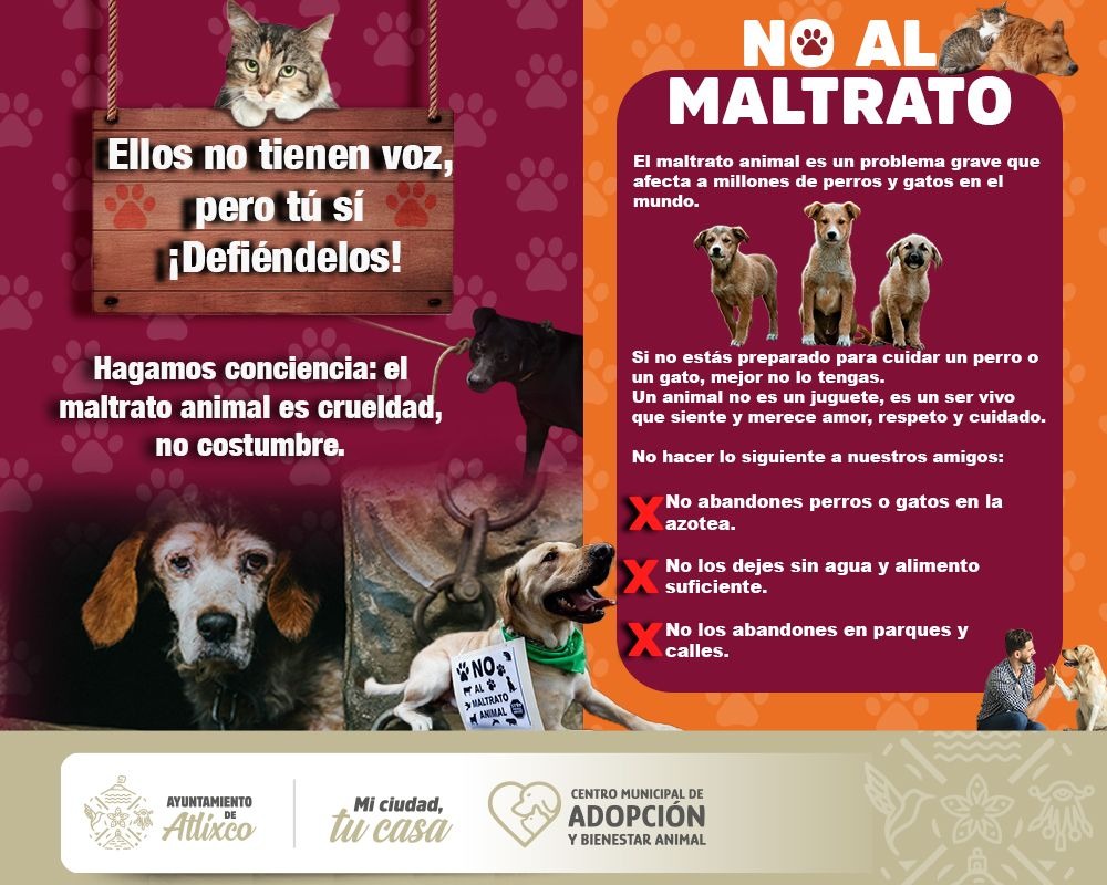 Atlixco