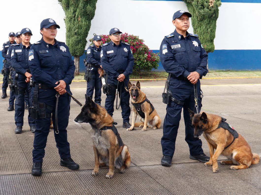 Policias