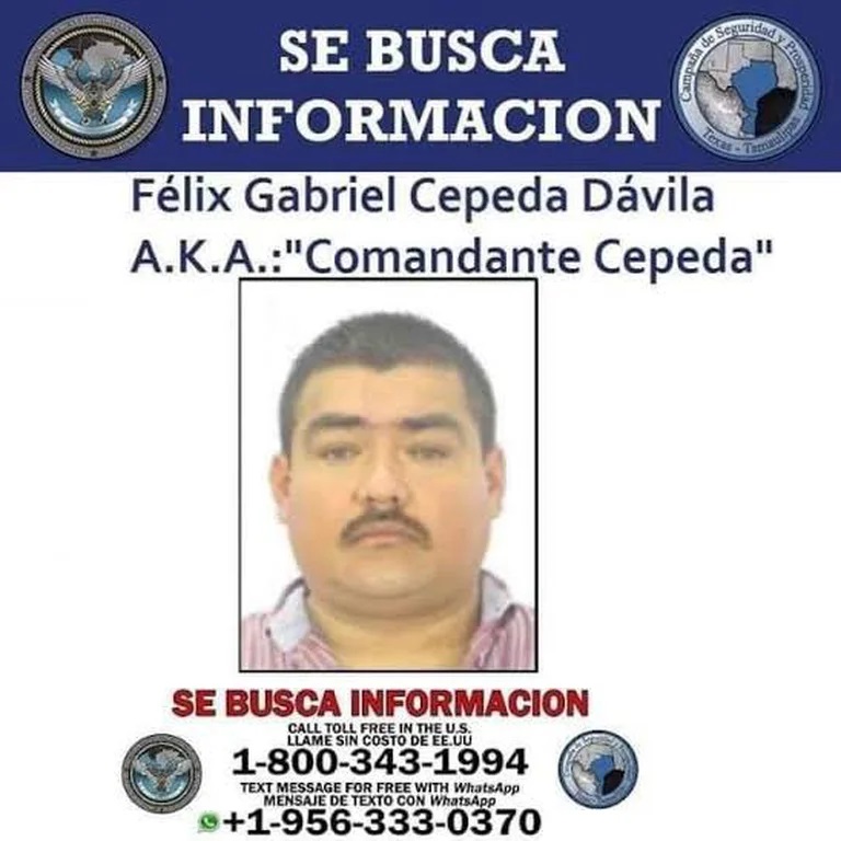 desaparecido