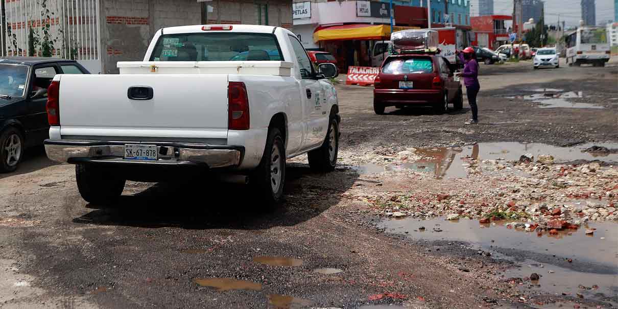 Baches