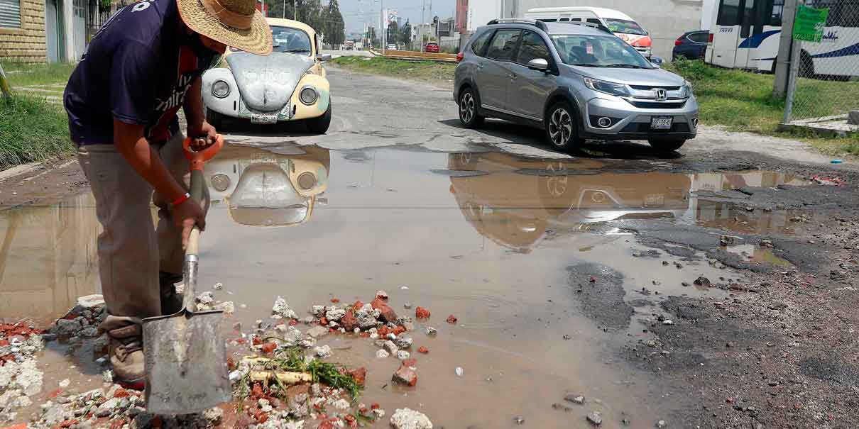Baches
