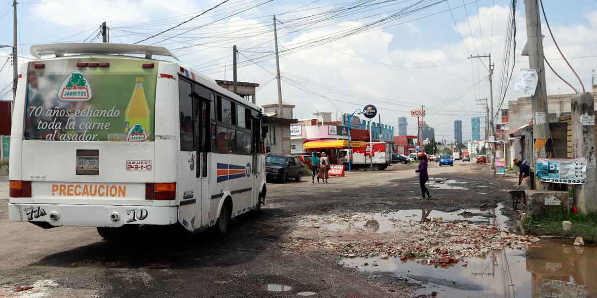 Baches