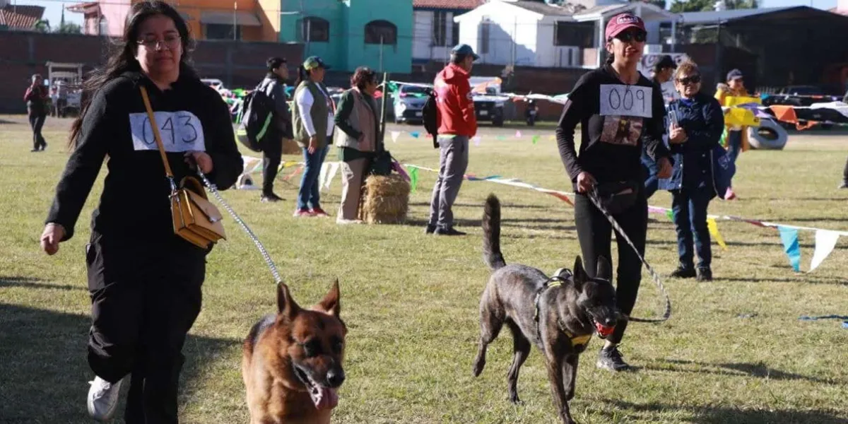 Carrera “Patitas Fugaces 2025” en Atlixco: diversión y ejercicio saludable con perros