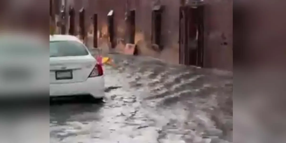 Aguacero derribó árboles, inundó plaza y negocios en Atlixco