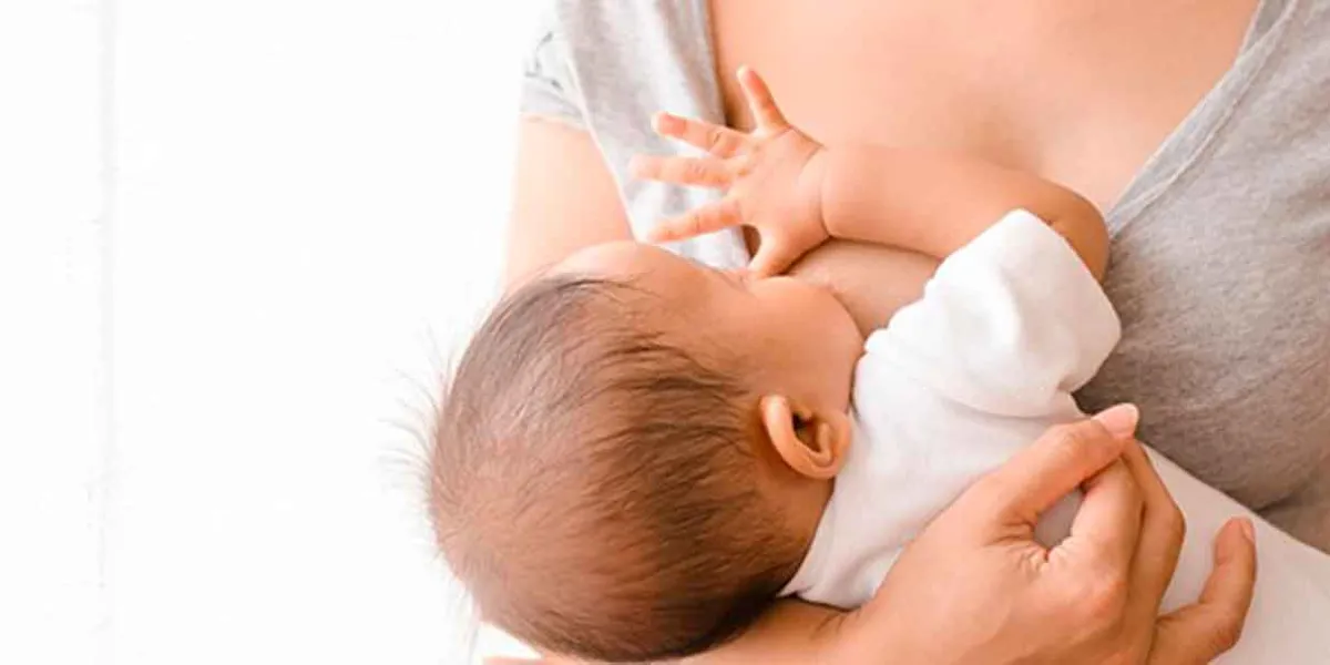 Lactancia materna: lo que la ciencia está descubriendo sobre el alimento más poderoso para los bebés