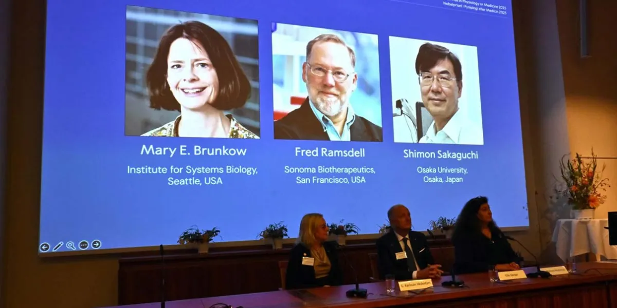Científicos ganan Nobel de Medicina 2025 por revelar el mecanismo de autodefensa del cuerpo
