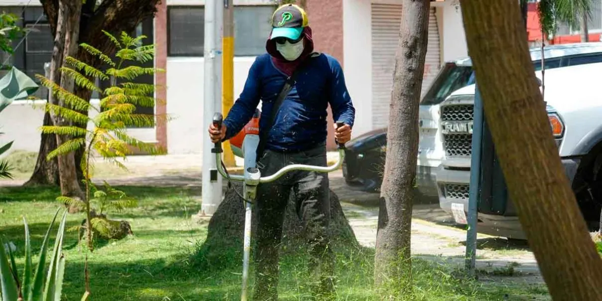 Inspecciona Pepe Chedraui labores de chapeo y rehabilitación en el parque Las Palmas