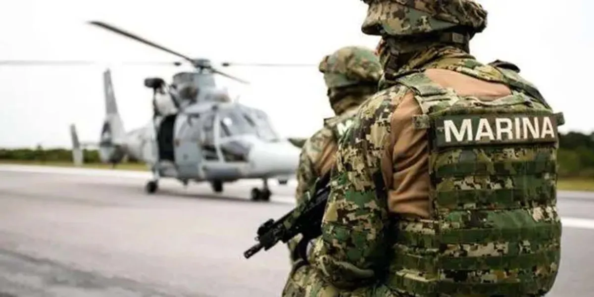 Propuesta de Ley Orgánica quita castigos a marinos por narcotráfico y traición