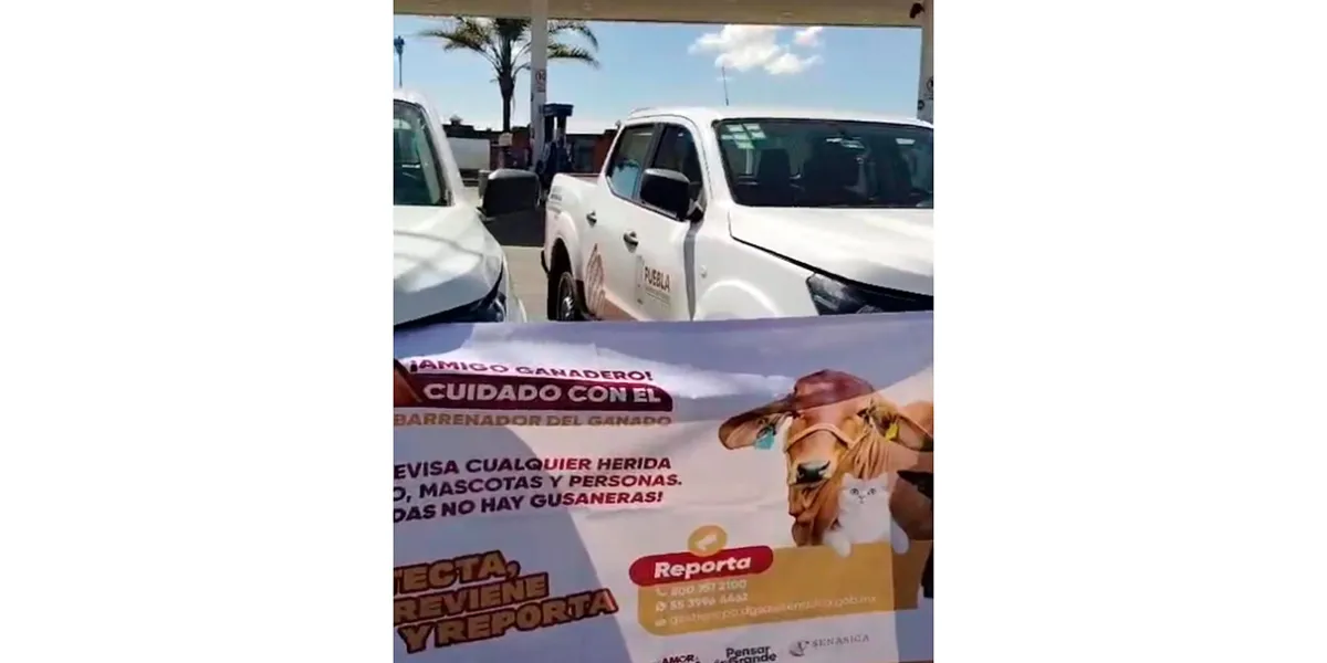 SADER implementa operativo sanitario en Texmelucan por venta de ganado