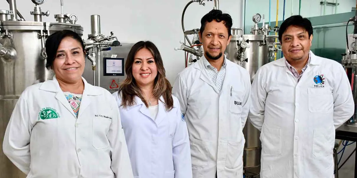 BUAP impulsa Inocrep, biotecnología mexicana que multiplica cultivos y combate la sequía en el campo