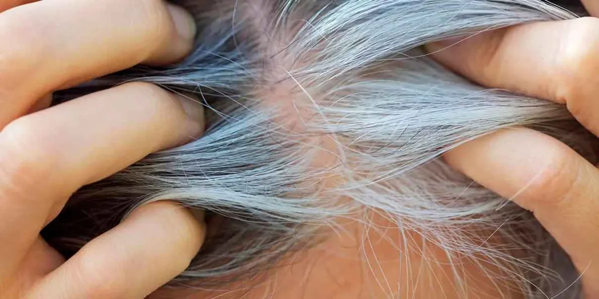Canas y cáncer: estudio japonés revela que el mismo proceso celular puede causar ambos