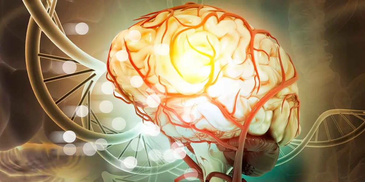 Científicos identifican el “interruptor” cerebral del dolor crónico: una nueva ruta para curarlo