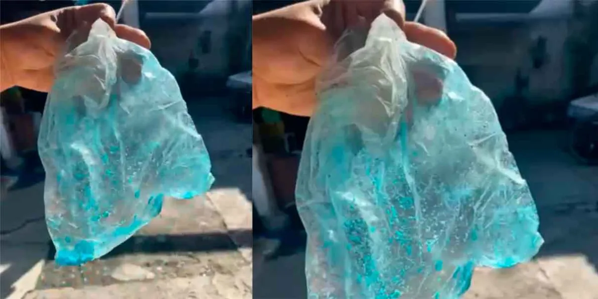 Sospechan de envenenamiento de perros en Texmelucan; vecinos hallan comida contaminada