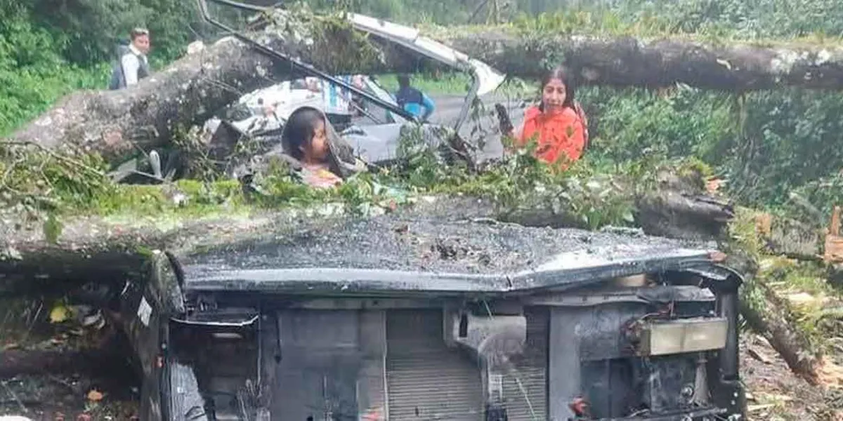 Árbol aplastó camioneta donde viajaba una familia; los padres murieron
