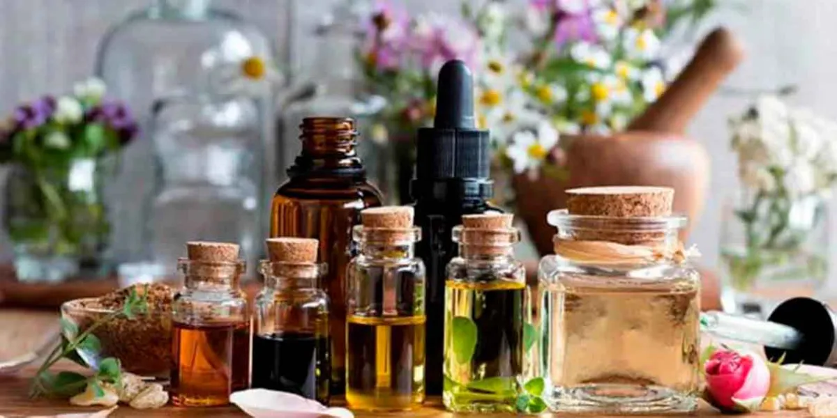 Plantas y aromas que curan: guía práctica para aliviar estrés y ansiedad en casa