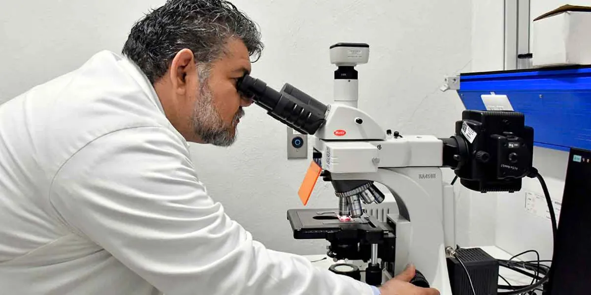 Investigador de la BUAP crea biosensores ópticos y nanotecnológicos para detectar bacterias y toxinas