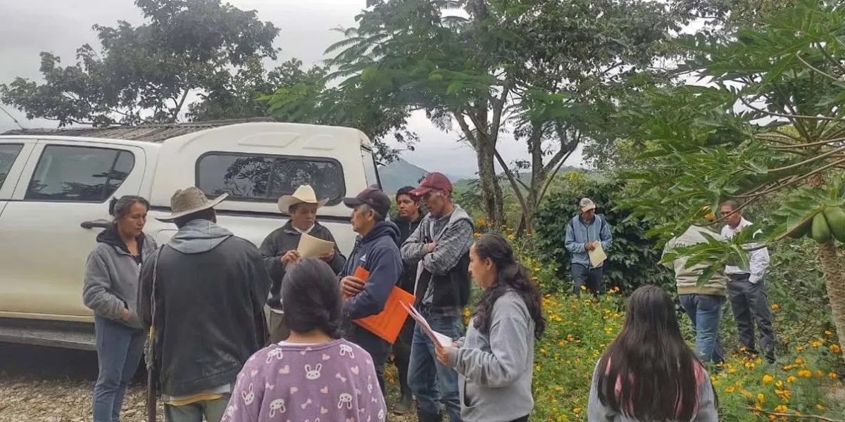 Tlacuilotepec fortalece producción de café con asesoría en sanidad vegetal y control de enfermedades