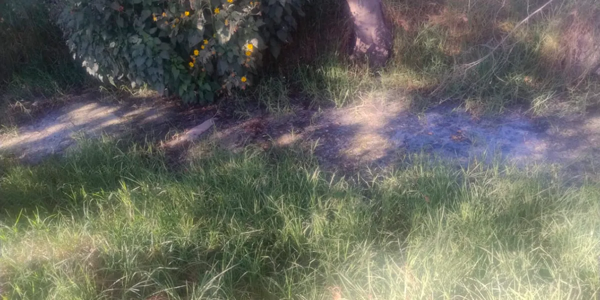 Vecinos de San Cristóbal Tepatlaxco exigen solución a fuga de drenaje que contamina su comunidad