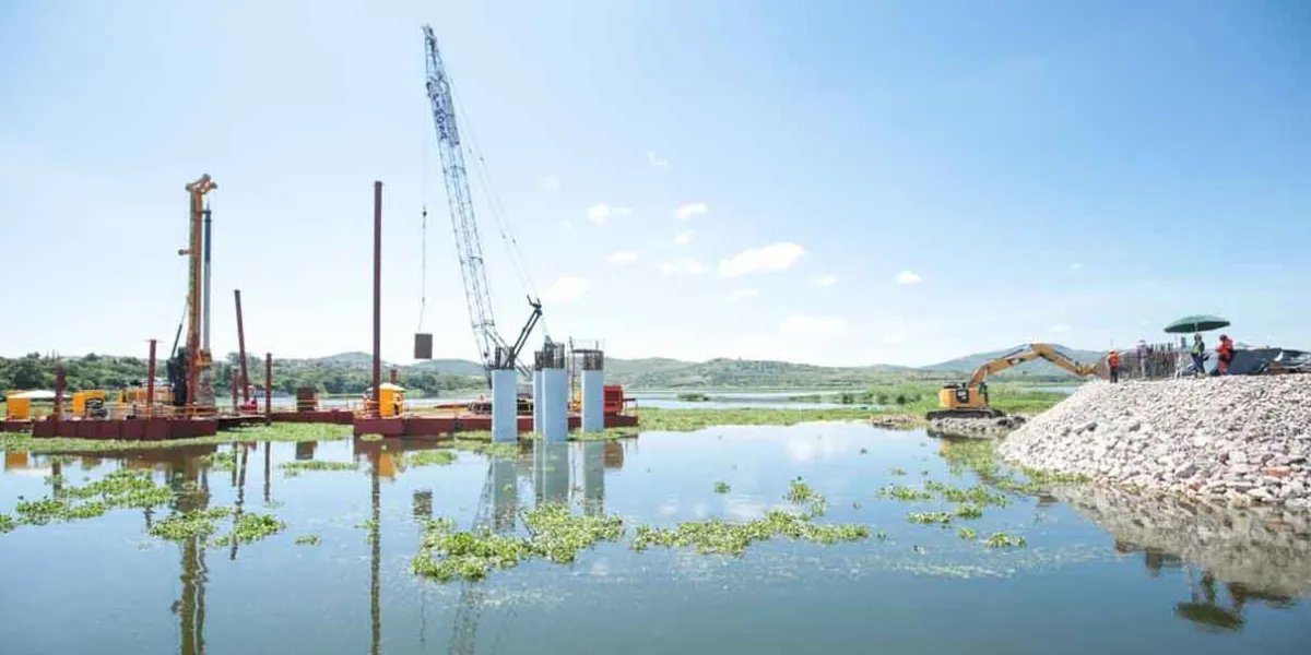 Se aprovecharán el lirio del Lago de Valsequillo para fabricar adoquín