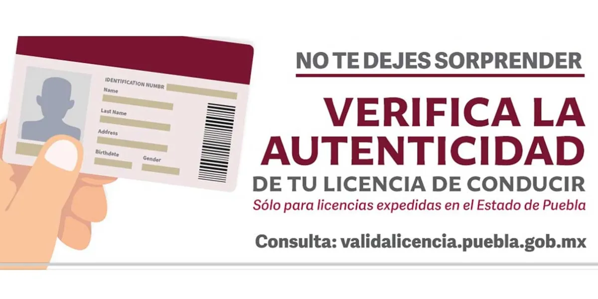 Ya hay cuatro denuncias por falsificación de licencias de conducir 