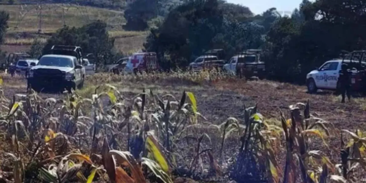 Terror en Cañada Morelos: localizan cuerpos desmembrados en un barranco de Llano Grande